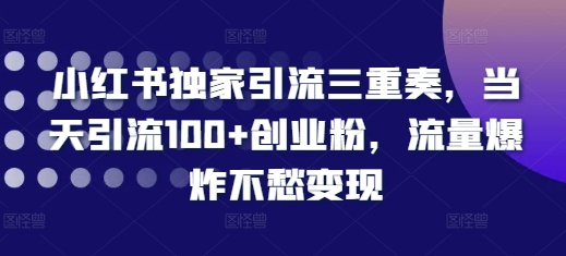 小红书独家引流三重奏，当天引流100+创业粉，流量爆炸不愁变现【揭秘】-宏创资源库