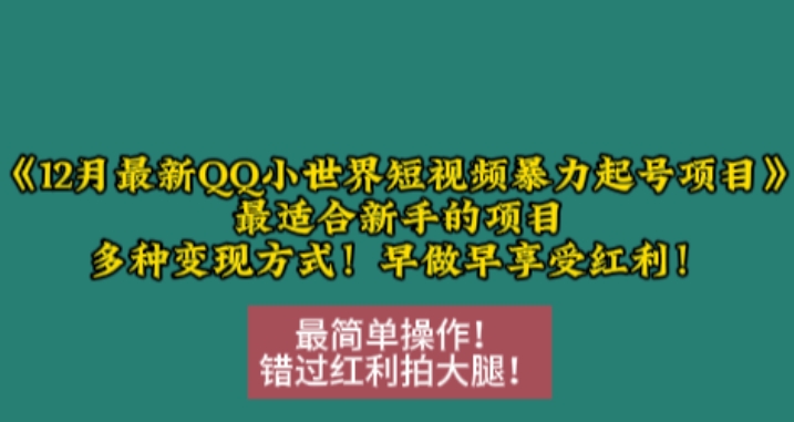 12月最新QQ小世界短视频暴力起号项目，最适合新手的项目，多种变现方式-宏创资源库