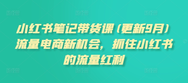小红书笔记带货课(更新12月)流量电商新机会，抓住小红书的流量红利-宏创资源库