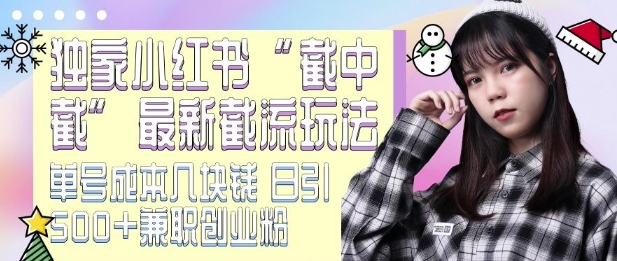 最新小红书截流玩法 独家截中截 单号成本几块钱 日引500+CY粉JZ粉-宏创资源库