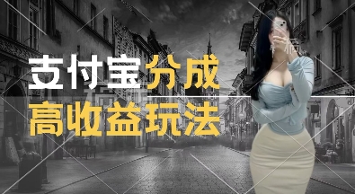 支付宝分成计划新玩法，利用交通事故视频，赚收益，轻松月入过W，操作简单【揭秘】-宏创资源库