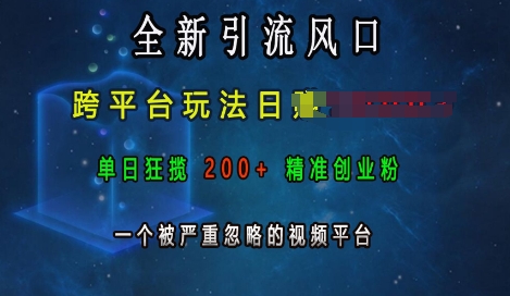 全新引流风口，跨平台玩法日入上k，单日狂揽200+精准创业粉，一个被严重忽略的视频平台-宏创资源库