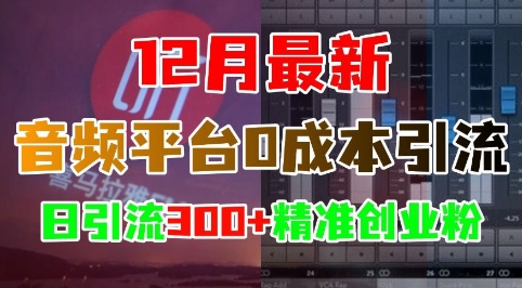 12月最新：音频平台0成本引流，日引流300+精准创业粉-宏创资源库