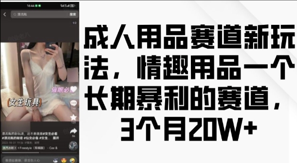 成人用品赛道新玩法，情趣用品一个长期暴利的赛道，3个月收益20个【揭秘】-宏创资源库
