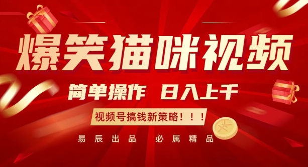 爆笑猫咪视频：简单操作，日入过K，视频号搞钱新策略【揭秘】-宏创资源库