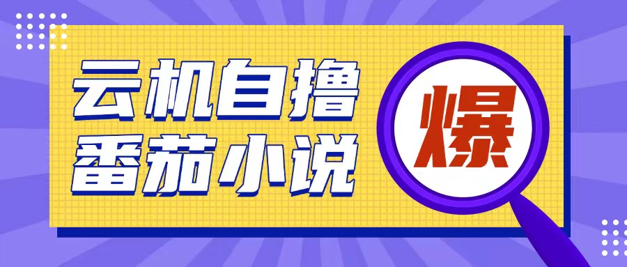首发云手机自撸小说玩法，10块钱成本可撸200+收益操作简单【揭秘】-宏创资源库