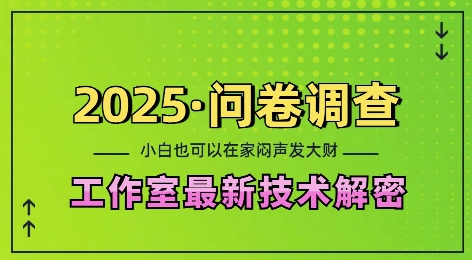 2025问卷调查最新工作室技术解密：一个人在家也可以闷声发大财，小白一天2张，可矩阵放大【揭秘】-宏创资源库