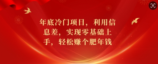 年底冷门项目，利用信息差，实现零基础上手，轻松赚个肥年钱【揭秘】-宏创资源库