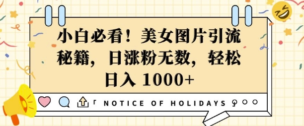 小白必看，美女图片引流秘籍，日涨粉无数，轻松日入几张【揭秘】-宏创资源库