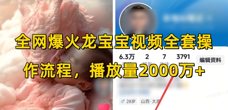 全网爆火龙宝宝视频全套操作流程，播放量2000万+-宏创资源库