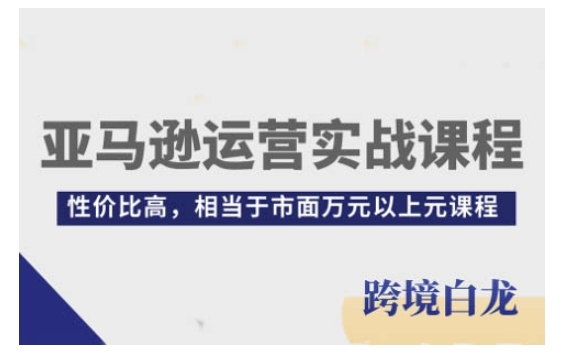 亚马逊运营实战课程，亚马逊从入门到精通，性价比高，相当于市面万元以上元课程-宏创资源库