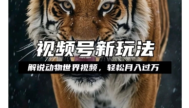 利用动物世界解说视频，赚分成计划收益，轻松月入过W，操作简单【揭秘】-宏创资源库