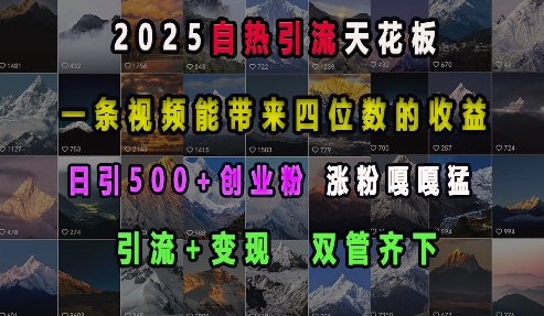 2025自热引流天花板，一条视频能带来四位数的收益，引流+变现双管齐下，日引500+创业粉，涨粉嘎嘎猛-宏创资源库
