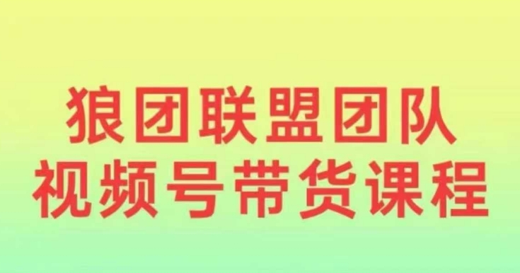 狼团联盟2024视频号带货，0基础小白快速入局视频号-宏创资源库