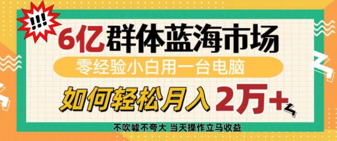 6亿群体蓝海市场，零经验小白用一台电脑，如何轻松月入过w【揭秘】-宏创资源库