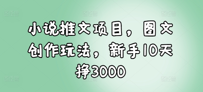 小说推文项目，图文创作玩法，新手10天挣3000-宏创资源库