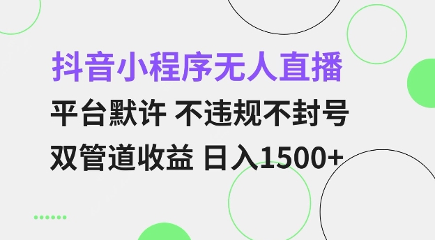 抖音小程序无人直播 平台默许 不违规不封号 双管道收益 日入多张 小白也能轻松操作【仅揭秘】-宏创资源库