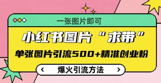 小红书图片‘求带’爆火引流法，单张图片引流500+精准创业粉【揭秘】-宏创资源库