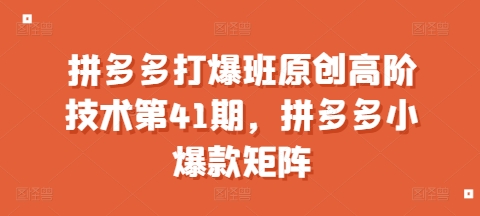 拼多多打爆班原创高阶技术第41期，拼多多小爆款矩阵-宏创资源库