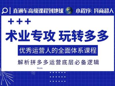术业专攻玩转多多，优秀运营人的全面体系课程，解析拼多多运营底层必备逻辑-宏创资源库