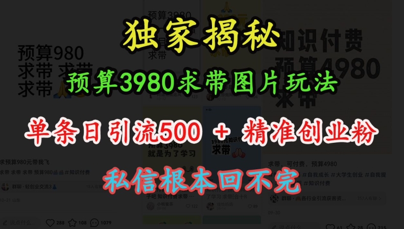 预算3980求带 图片玩法，单条日引流500+精准创业粉，私信根本回不完-宏创资源库
