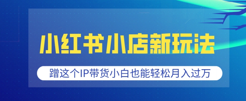小红书小店新玩法，蹭这个IP带货，小白也能轻松月入过W【揭秘】-宏创资源库