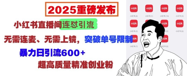 2025重磅发布：小红书直播间连怼引流，无需连麦、无需上镜，突破单号限制，暴力日引流600+-宏创资源库