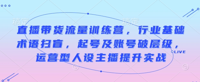 直播带货流量训练营，行业基础术语扫盲，起号及账号破层级，运营型人设主播提升实战-宏创资源库