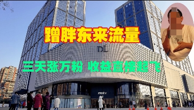 蹭胖东来流量，三天涨万粉，收益直接起飞-宏创资源库