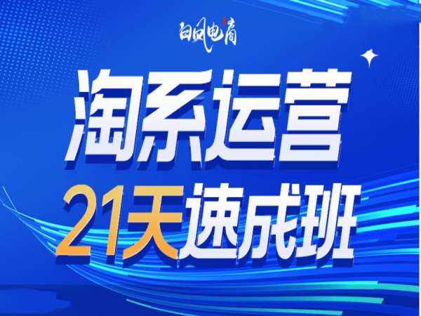 淘系运营21天速成班35期，年前最后一波和2025方向-宏创资源库