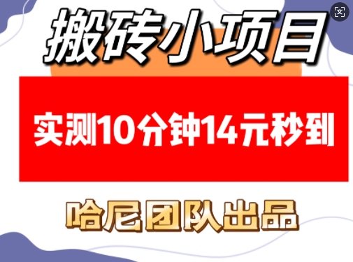 搬砖小项目，实测10分钟14元秒到，每天稳定几张(赠送必看稳定)-宏创资源库