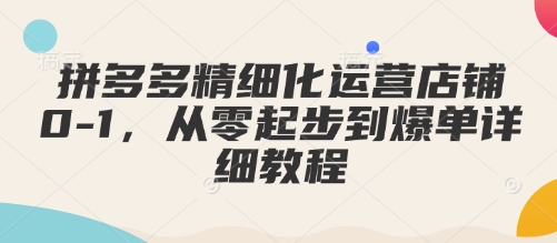 拼多多精细化运营店铺0-1，从零起步到爆单详细教程-宏创资源库