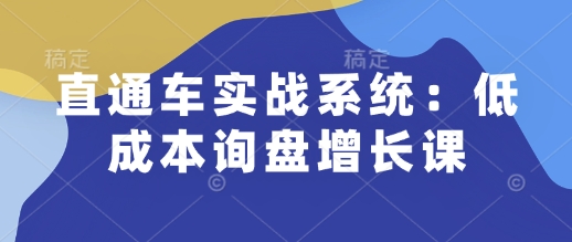 直通车实战系统：低成本询盘增长课，让个人通过技能实现升职加薪，让企业低成本获客，订单源源不断-宏创资源库