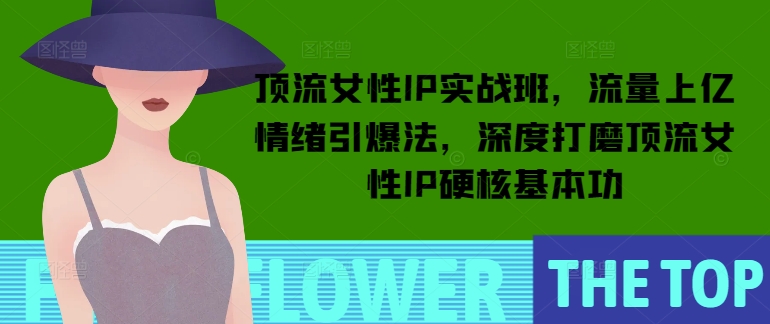 顶流女性IP实战班，流量上亿情绪引爆法，深度打磨顶流女性IP硬核基本功-宏创资源库