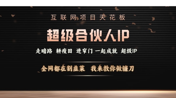 互联网项目天花板，超级合伙人IP，全网都在割韭菜，我来教你做镰刀【仅揭秘】-宏创资源库