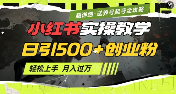 2月小红书最新日引500+创业粉实操教学【超详细】小白轻松上手，月入1W+，附小红书养号起号SOP-宏创资源库