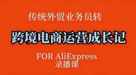 跨境电商速卖通运营课，​运营方法论+后台实操，逻辑清晰-宏创资源库