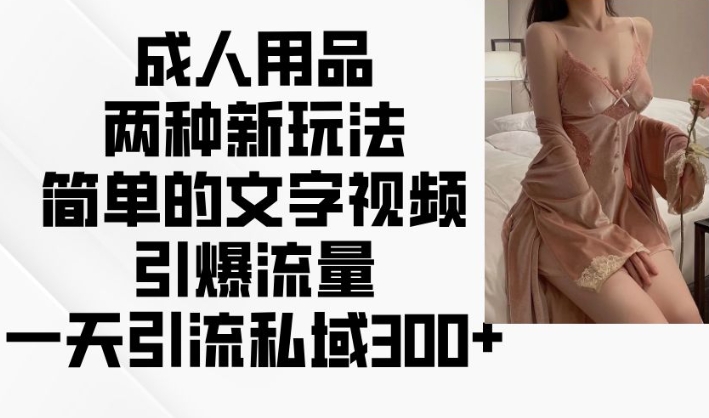 成人用品两种新玩法，简单的文字视频引爆流量，一天引流私域300+-宏创资源库