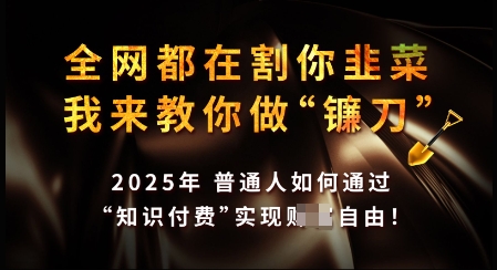 知识付费如何做到月入过W+，2025我来教你做“镰刀”【揭秘】-宏创资源库