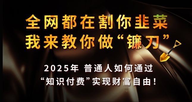 全网都在割你韭菜，我来教你做镰刀，2025年普通人如何通过 知识付费 实现财F自由【揭秘】-宏创资源库
