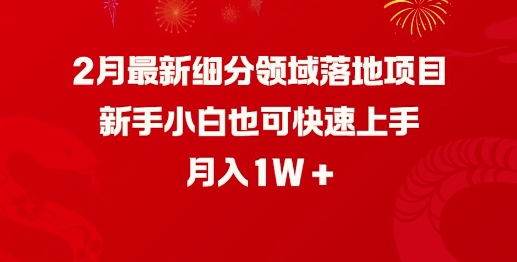 2月最新细分领域落地项目，新手小白也可快速上手，月入1W-宏创资源库