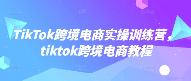 TikTok跨境电商实操训练营，tiktok跨境电商教程-宏创资源库