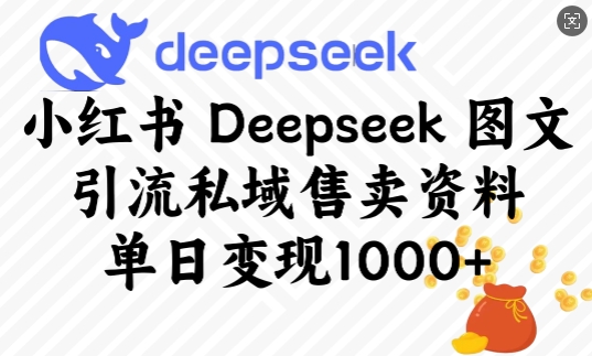 小红书Deepseek图文引流私域售卖资料，单日变现多张-宏创资源库