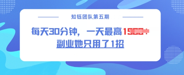 副业她只用了1招，每天30分钟，无脑二创，一天最高1.5k-宏创资源库