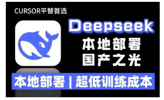 2025年deepseek R1 大型模型本地安装部署(文件+教程)本地部署，超低训练成本-宏创资源库