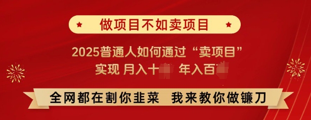 必看，做项目不如卖项目，2025普通人如何通过“卖项目”实现月入十个，年入百个-宏创资源库